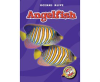 Angelfish