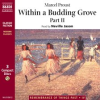 Within_a_Budding_Grove_____Part_2