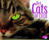Pet_cats_up_close