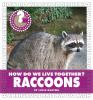 How_do_we_live_together__raccoons