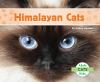 Himalayan_cats