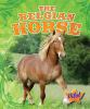 The_Belgian_horse