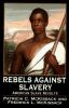 Rebels_against_slavery__American_slave_revolts