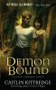 Demon_bound