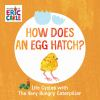 How_does_an_egg_hatch_