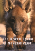 The_Brown_Hyena_of_Makgadikgadi