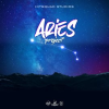 Aries_Project