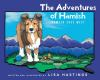 The_Adventures_of_Hamish