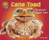 Cane_Toad