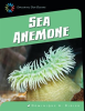 Sea_Anemone