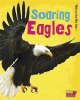 Soaring_Eagles