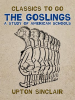 The_Goslings__A_Study_of_American_Schools