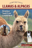 Llamas_and_Alpacas
