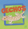 Get_to_Know_Geckos
