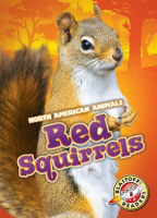 Red_Squirrels