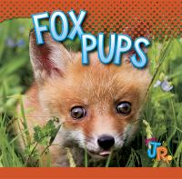 Fox_pups