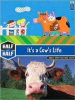 It_s_a_cow_s_life