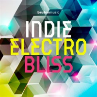 Indie_Electro_Bliss