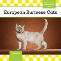 European_Burmese_Cats