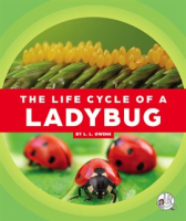 The_Life_Cycle_of_a_Ladybug
