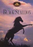 The_Black_Stallion