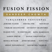Fusion_Fission