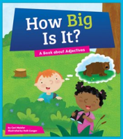 How_big_is_it_