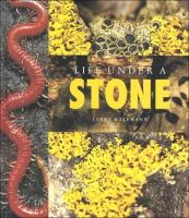 Life_under_a_stone