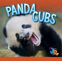 Panda_cubs