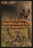 Gangland_Killers__Mongoose_Gangs