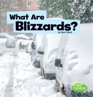 What_are_blizzards_