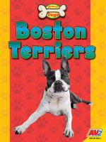 Boston_terriers