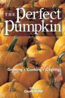 The_Perfect_Pumpkin
