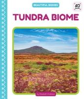 Tundra_Biome