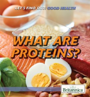 What_are_proteins_