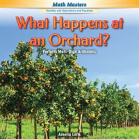 What_Happens_at_an_Orchard_