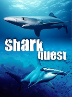Shark_Quest
