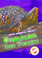 Common_box_turtles