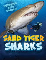 Sand_Tiger_Sharks