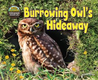 Burrowing_Owl_s_Hideaway