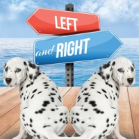 Left_and_right