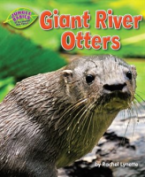 Giant_river_otters