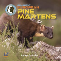 All_About_European_Pine_Martens