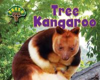 Tree_kangaroo