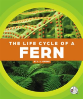 The_Life_Cycle_of_a_Fern