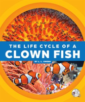 The_Life_Cycle_of_a_Clown_Fish